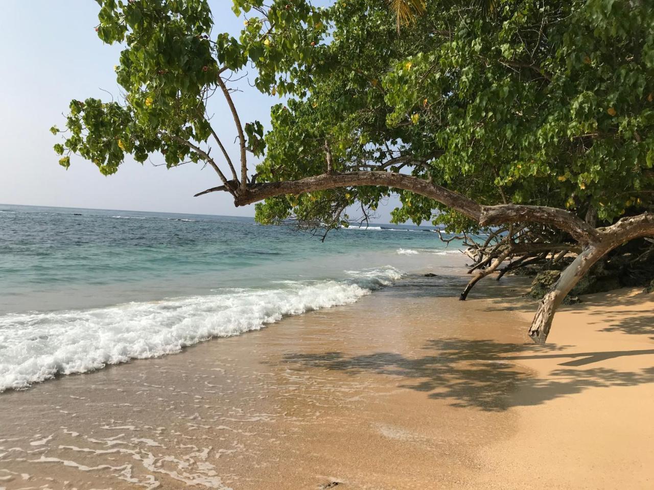 Tiny Royal Palace Unawatuna Eksteriør bilde